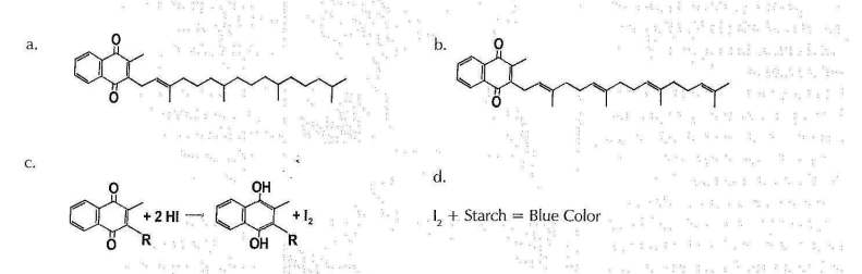 Figure 1: The Structure of K Vitamins and Their Chemical Behavior 