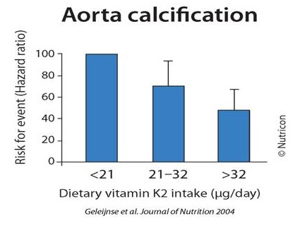 Figure 4: Aorta calcification decreases with vitamin K2 nourishment. Courtesy of Dr. Schurgers.