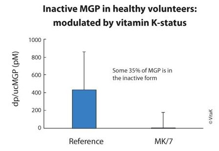 Figure 7: Supplementation with MK-7 results in significantly decreased levels of inactive MGP, resulting in significantly more active MGP. (The dose was 360 mcg of MK7 for three months). Courtesy of Dr. Schurgers.